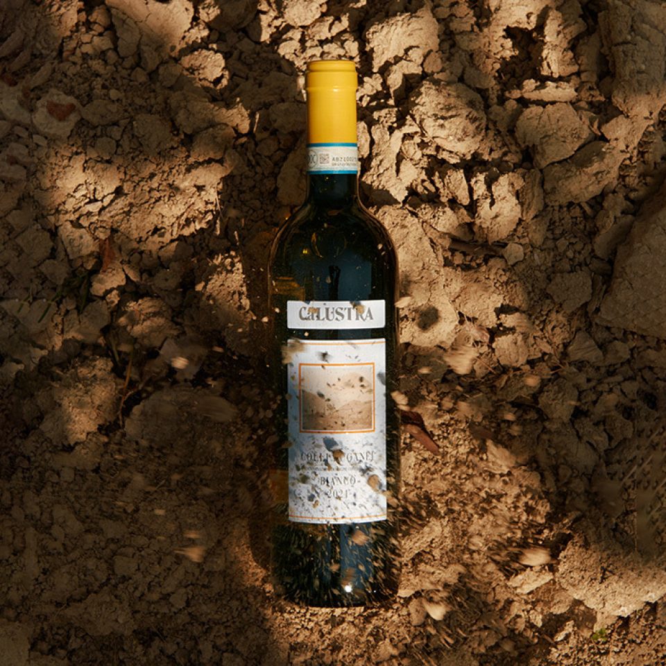 Cantina Ca' Lustra Zanovello — foto 2